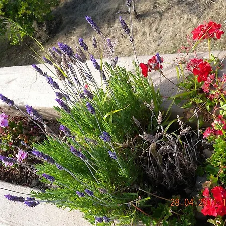 Hébergement de vacances Casita Roque Nublo Tejeda (Gran Canaria)