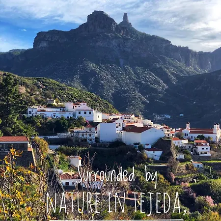 Casita Roque Nublo Hébergement de vacances